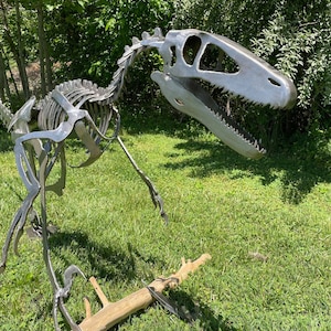 Life sized Deinonychus steel skeleton