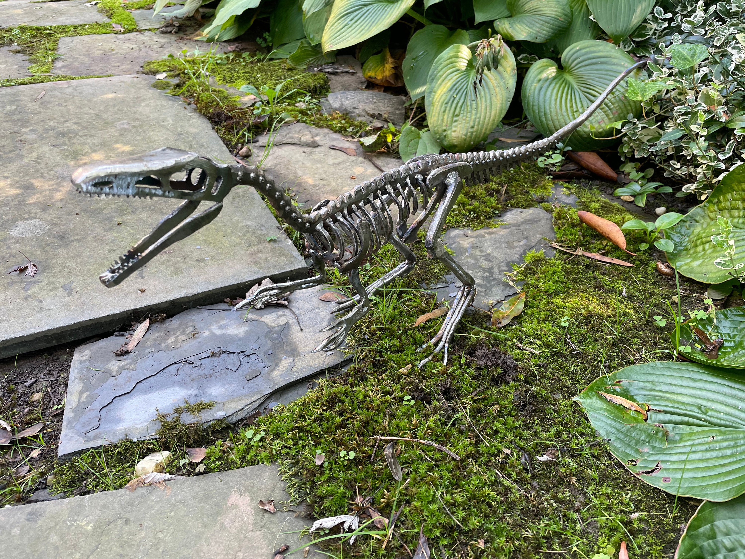 Life Size Steel Compsognathus Skeletons - Etsy