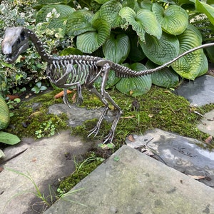 Life Size Steel Compsognathus Skeletons - Etsy