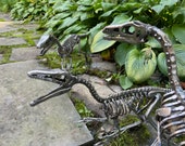 Life Size Steel Compsognathus Skeletons