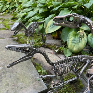 Life Size Steel Compsognathus Skeletons