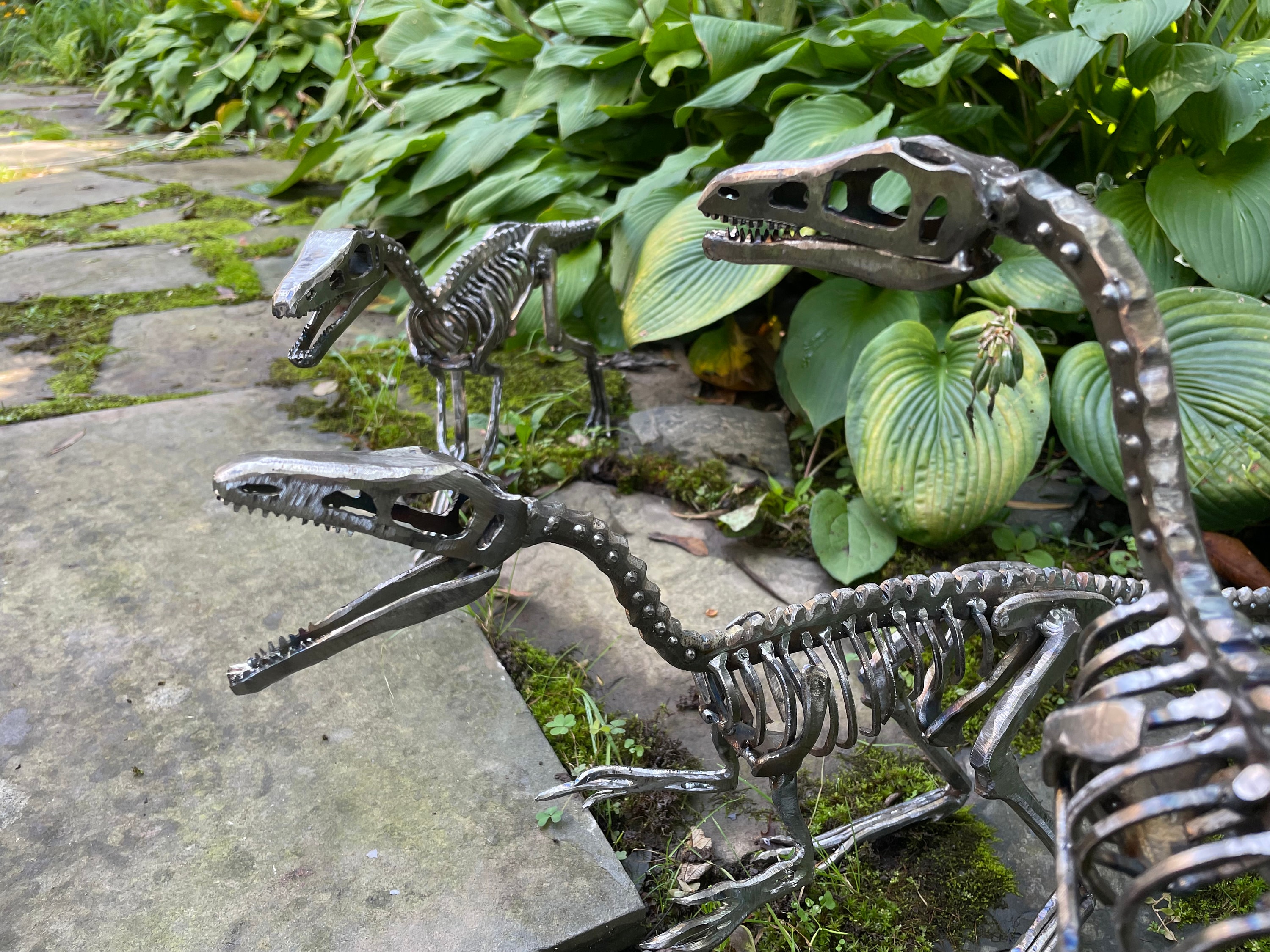 Life Size Steel Compsognathus Skeletons - Etsy