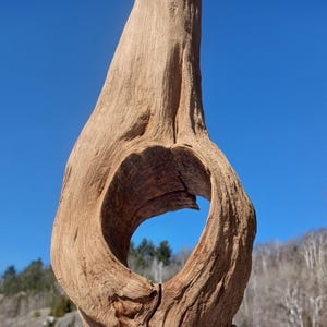 Peut inclure: Un gros plan sur une branche de bois flotté brun et usé avec un grand trou circulaire au centre. Le trou est encadré par les courbes et les textures naturelles du bois. L'arrière-plan est une image floue d'une forêt enneigée.