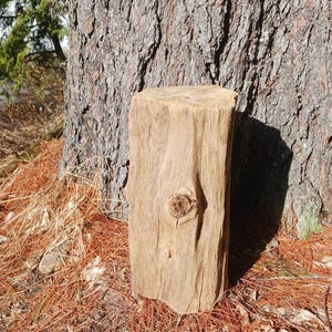 Cedar Driftwood Stump Riser, Rustic Wood Display, Terrarium Decor
