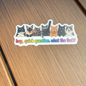 May include: A rectangular sticker featuring seven cats of various breeds and colors lined up side by side. One gray cat has a paw raised. Below the cats, the text reads in colorful, multi-toned letters: hey, quick question. what the fuck?