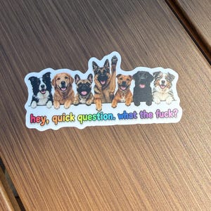 May include: A die-cut sticker featuring seven dogs of various breeds lined up with their front paws resting on a ledge. Below the dogs, the text reads, "hey, quick question. what the fuck?" in colorful, multi-toned lowercase letters.