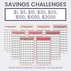 Minimalistischer rosa Geldumschlag Savings Challenges Bundle | Blush Cash Stuffing Geld Herausforderungen | Druckbare Umschlageinlagen | A6 Sammelmappe