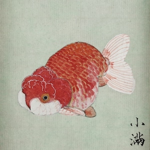 Peinture poisson rouge aquarelle encre fait main artiste peintre con certificato di autenticità