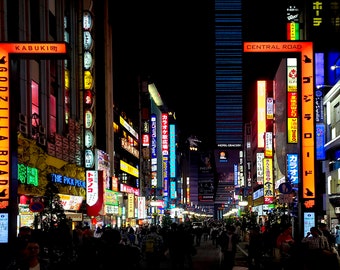 Japan Tokyo Streets Series 3 Number 9 - Godzilla Road - Travel Photo Print