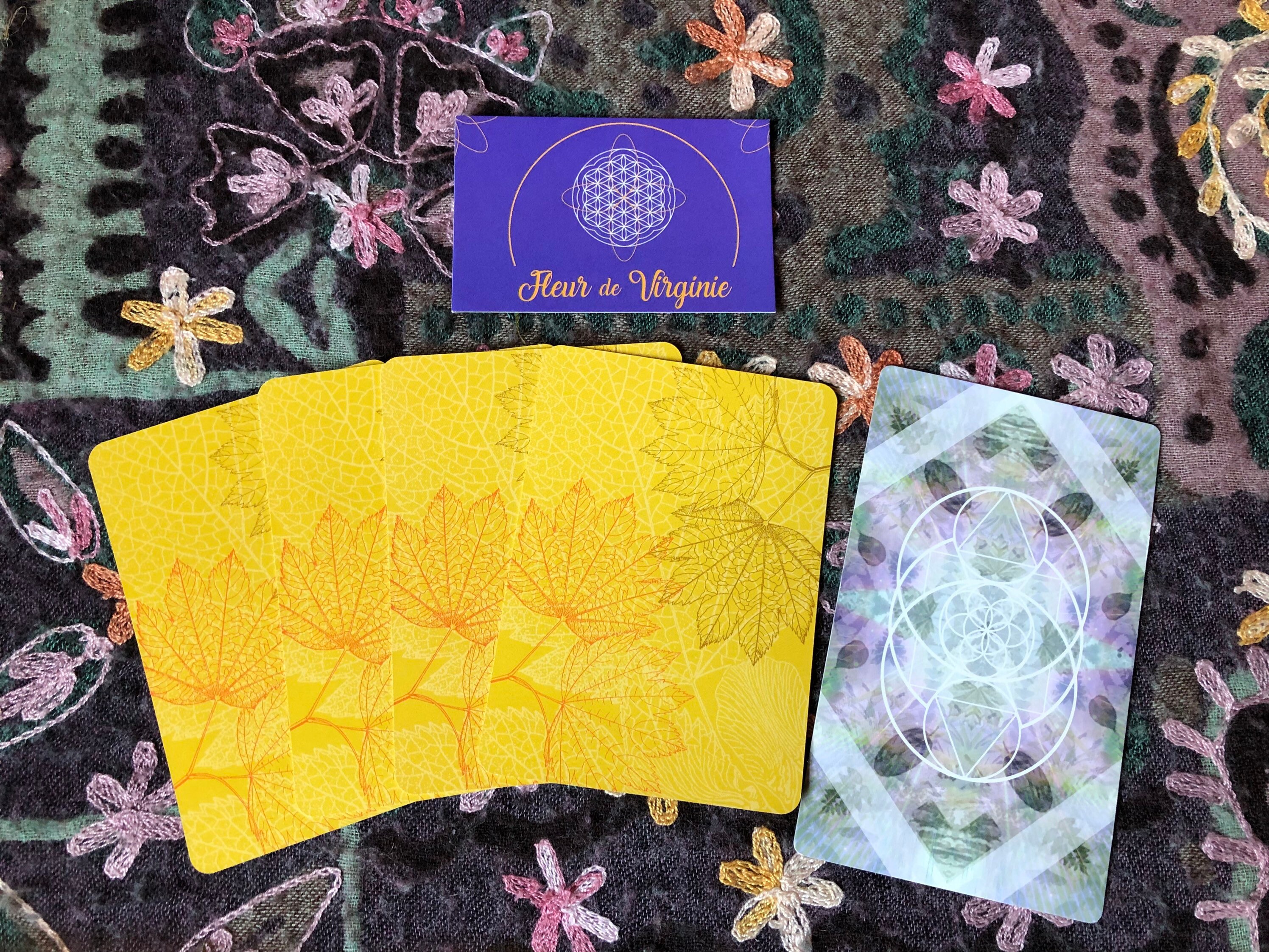 Message Des Plantes 5 Cartes