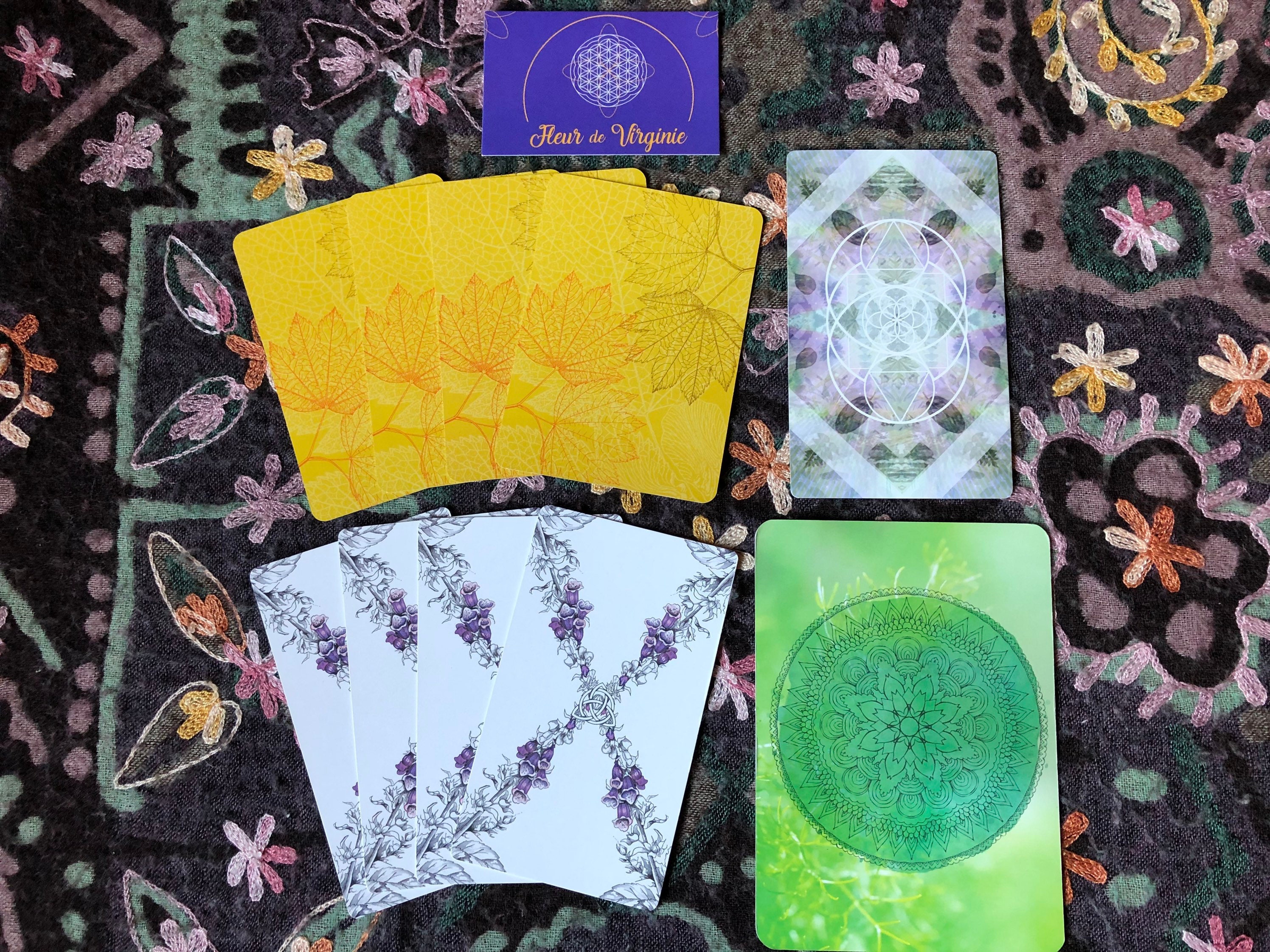 Message Des Plantes 10 Cartes