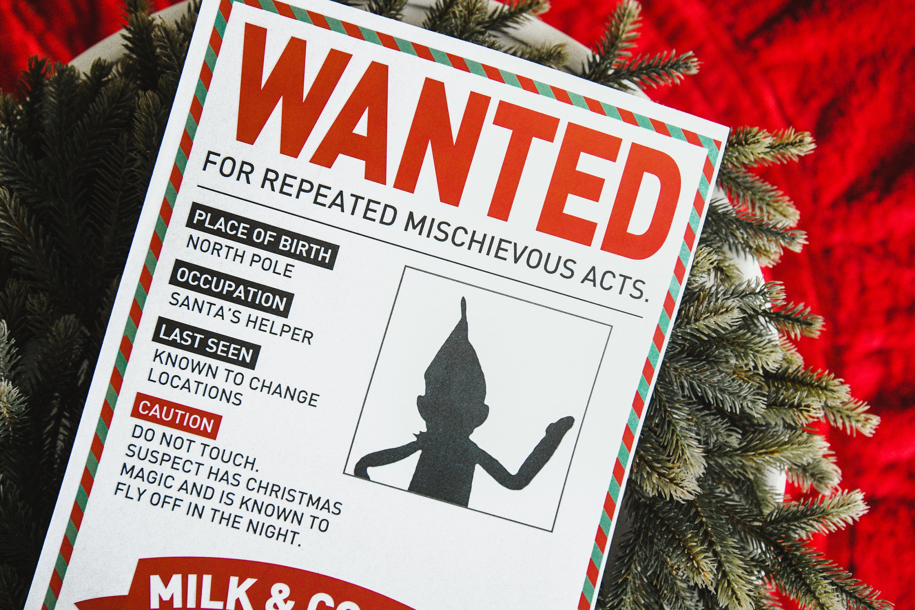 wanted christmas elf reward sign | missing mugshot poster (digital