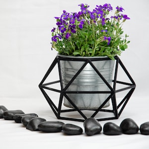 May include: A purple flower plant in a silver pot on a black geometric stand. Black stones are arranged in a line on a white surface.