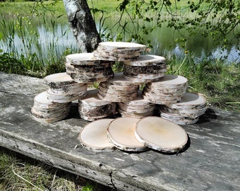 Set of 50 Birch wood slices