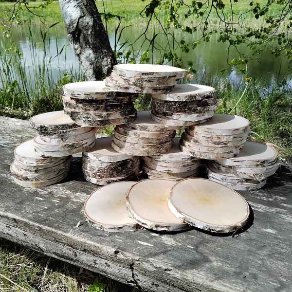 Set of 50 Birch wood slices