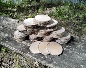 Set of 1000 Birch wood slices