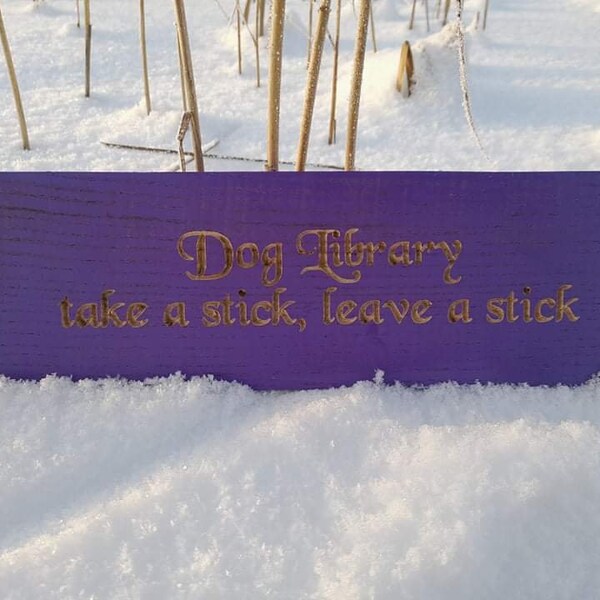 Little Free Library Box - Etsy