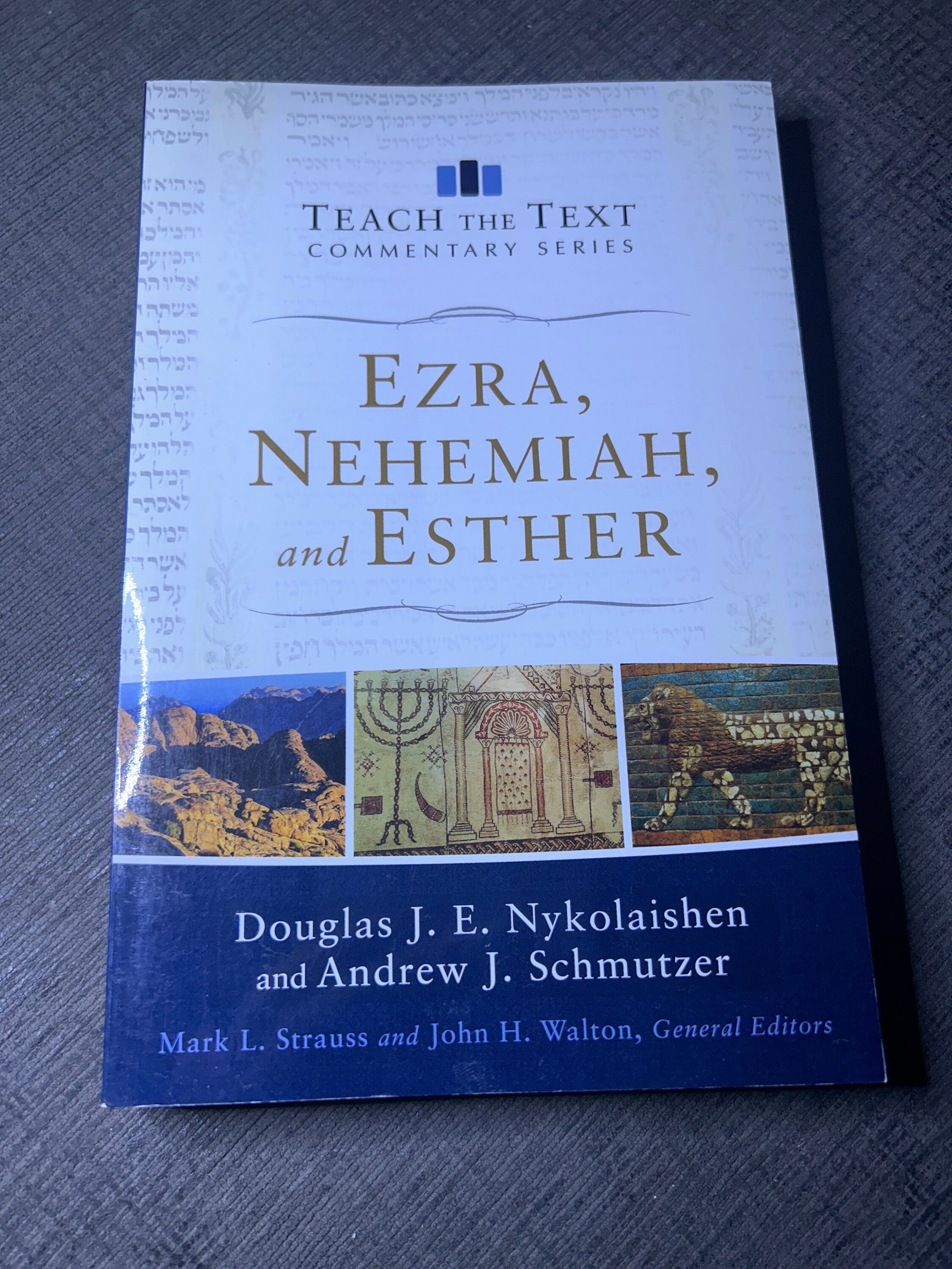 Text　the　Etsy　by　ezra　Norway　Nehemiah　Schmutzer　Ester　and　Teach　Series