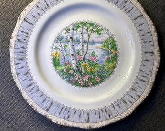 Plato de ensalada Royal Albert “Silver Birch” de 8 1/4 pulgadas