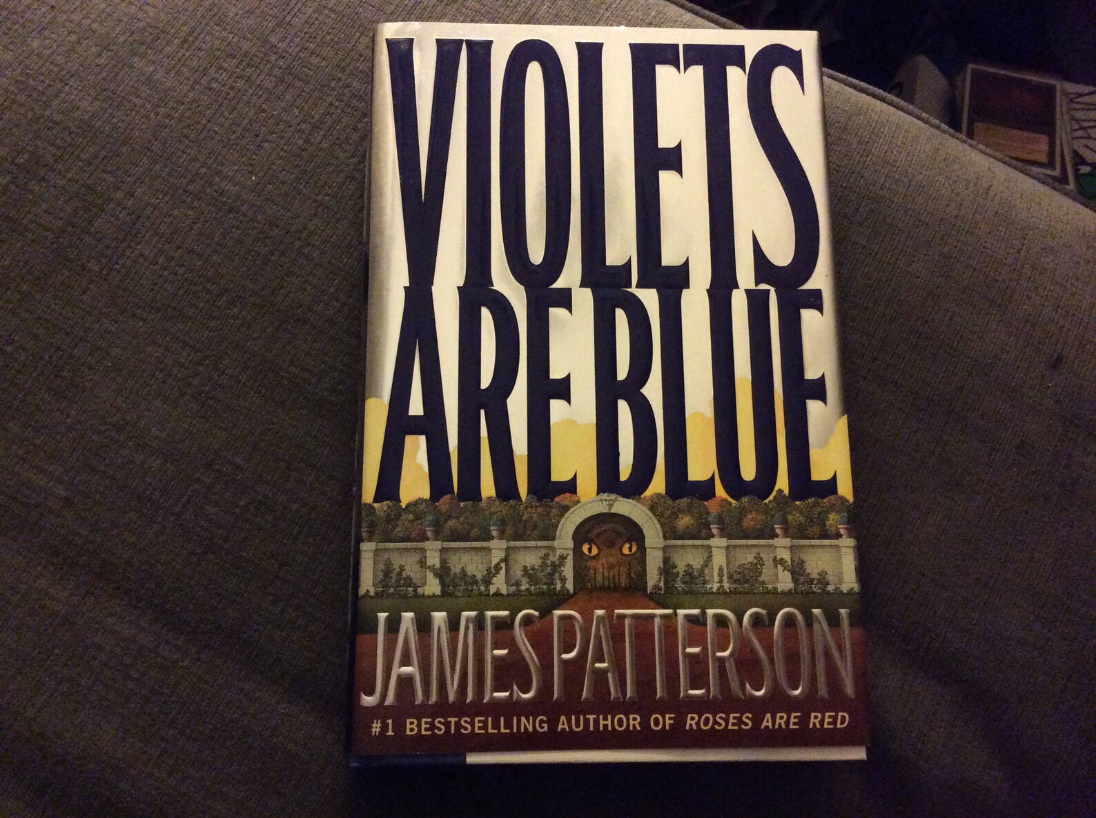 Violets are Blue by James Patterson hardcover 1st edition Etsy