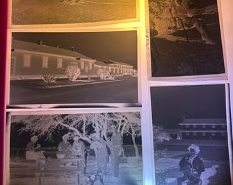 116/616 ネガ（その他写真 10 枚）家族写真 +++ 70 MM
