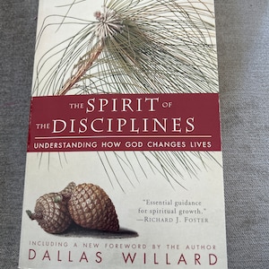 Disciplines of 2024 the spirit