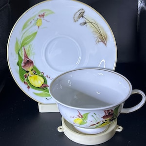 Rosenthal Classic Rose Cup and Saucer “Lady Slipper” Danbury Mint
