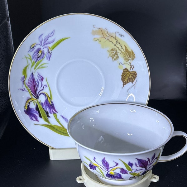 Rosenthal Classic Rose Cup and Saucer “Blue Flag Iris” Danbury Mint