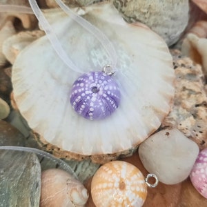 Sea urchin, Sea urchin pendant, Handmade sea urchin necklace, Beach lovers gift, Sea urchin jewellery, Sea anemone, Summer gift
