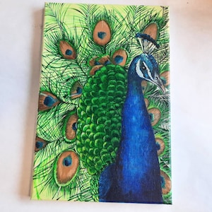 Peacock Acrylic Painting on Canvas: Original Bird Wall Art (12x8 inch)