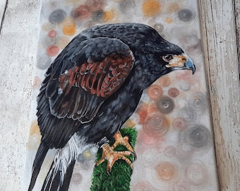 Harris Hawk Acrylic Painting, Bird of Prey Art on Canvas