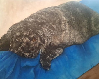 Peut inclure: Un chien noir aux yeux bruns est allongé sur une couverture bleue. Le chien regarde la caméra avec une expression détendue.