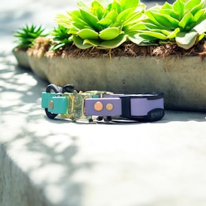 Bungee Cobra Style Buckle Biothane E Collar Strap (3/4 inch) - Fits SportDog Receivers!