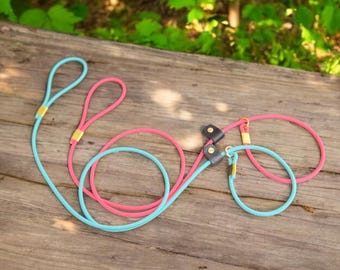 Rolled BioThane Slip Leash