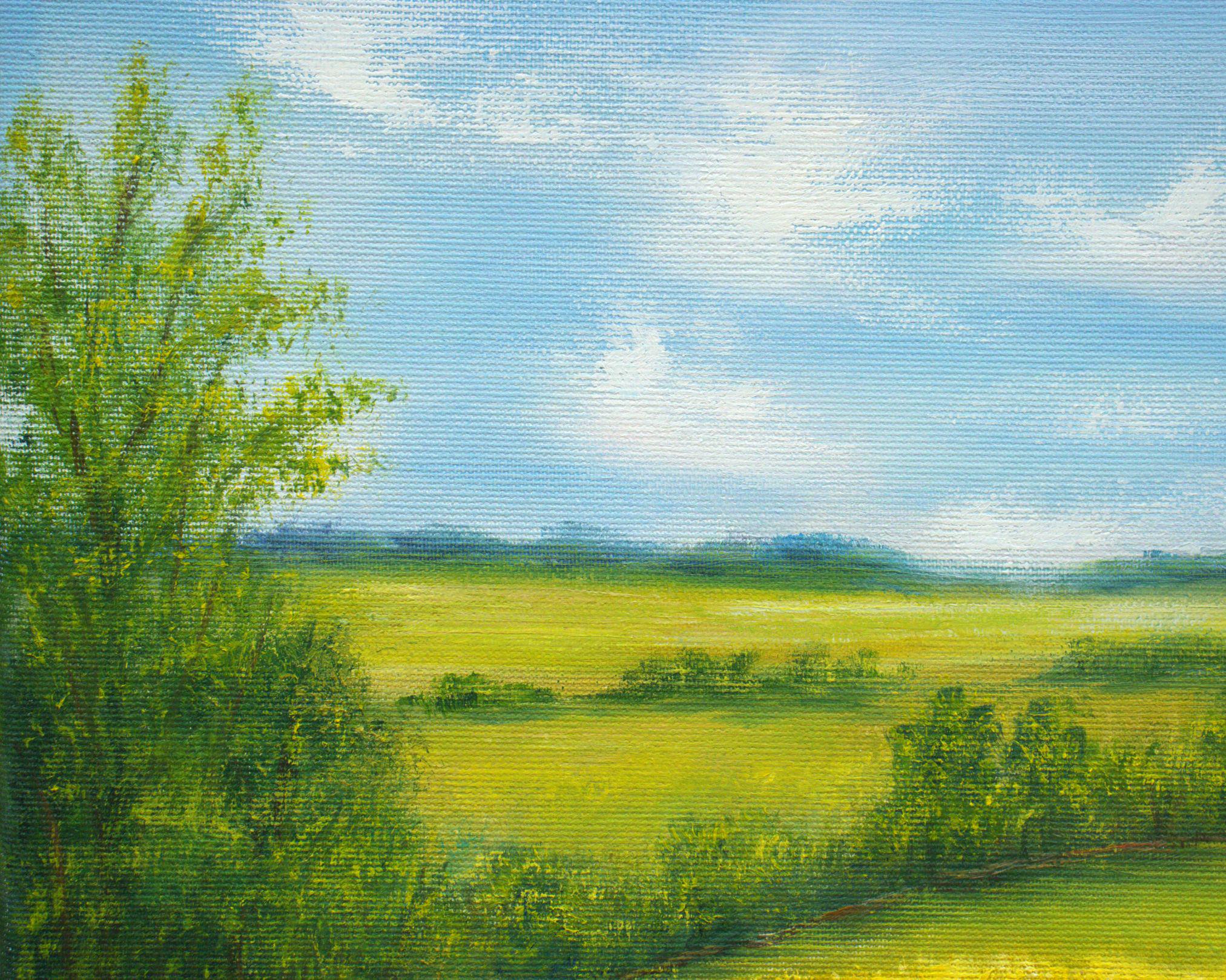 夏の野花の草原の風景 オリジナル油絵 田園風景 16x12 キャンバス