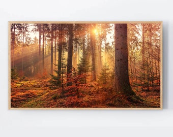 Fall Art for the Samsung Frame TV, Autumn Samsung frame tv art forest Autumn colors Frame TV Art sun light tv art, thanksgiving frame tv art