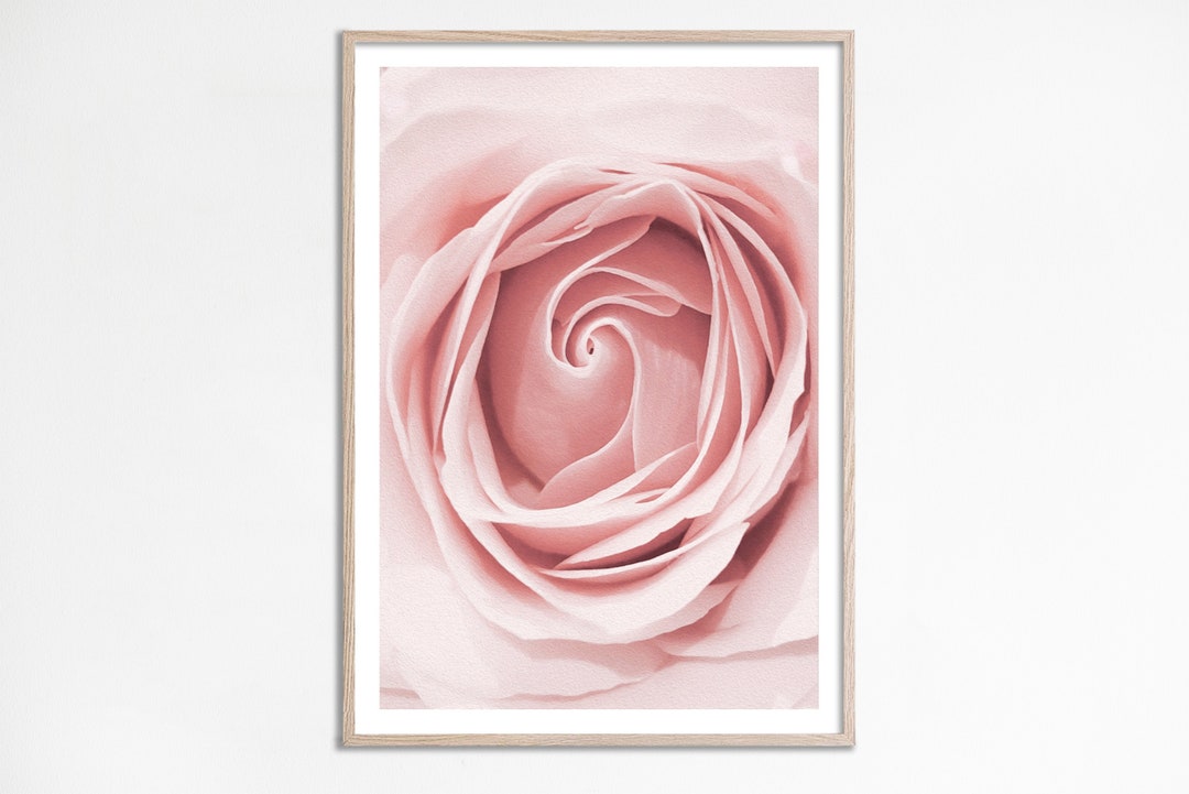 Pink Flower Poster Pastel Pink Rose Print Blush Flower Watercolor Pink ...