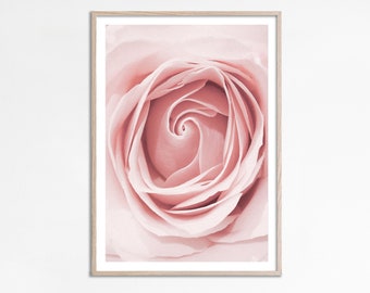 Póster de flor rosa, estampado de rosa pastel, flor ruborizada, acuarela, flor rosa imprimible, estampado floral, decoración floral, arte de pared con flores para guardería