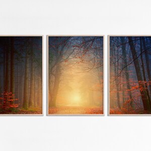 May include: A triptych of three framed photographs depicting a misty forest path with golden light shining through the trees. The path is lined with trees with red leaves.