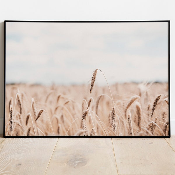 Modern farmhouse wall art print, wheat photo print in neutral beige tones, Horizontal framed canvas, framed poster landscape wall art print