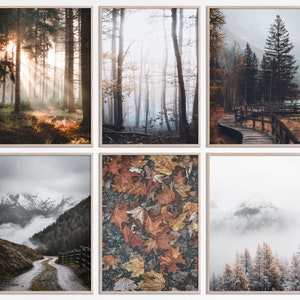 Conjunto de arte de pared de galería de 6 impresiones de bosques de otoño Foggy Landscape carteles de colores de otoño 6 piezas Decoración de otoño Impresiones de arte de pared Misty Autumn Print