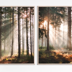 Light through trees print set of 2 prints in the Woods forest nature photo prints, landscape photography print misty forest trees two photos