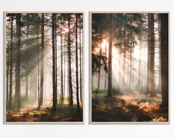 Light through trees print set of 2 prints in the Woods forest nature photo prints, landscape photography print misty forest trees two photos