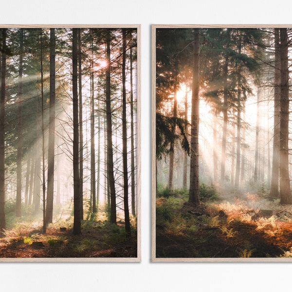 Light through trees print set of 2 prints in the Woods forest nature photo prints, landscape photography print misty forest trees two photos