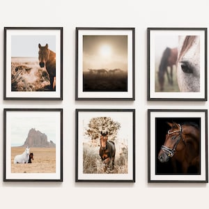 May include: A gallery wall of six framed photographs featuring horses in various settings. The photos include a close-up of a horse's eye, a horse standing in a field, a group of horses in a misty field, and two horses in a desert landscape.
