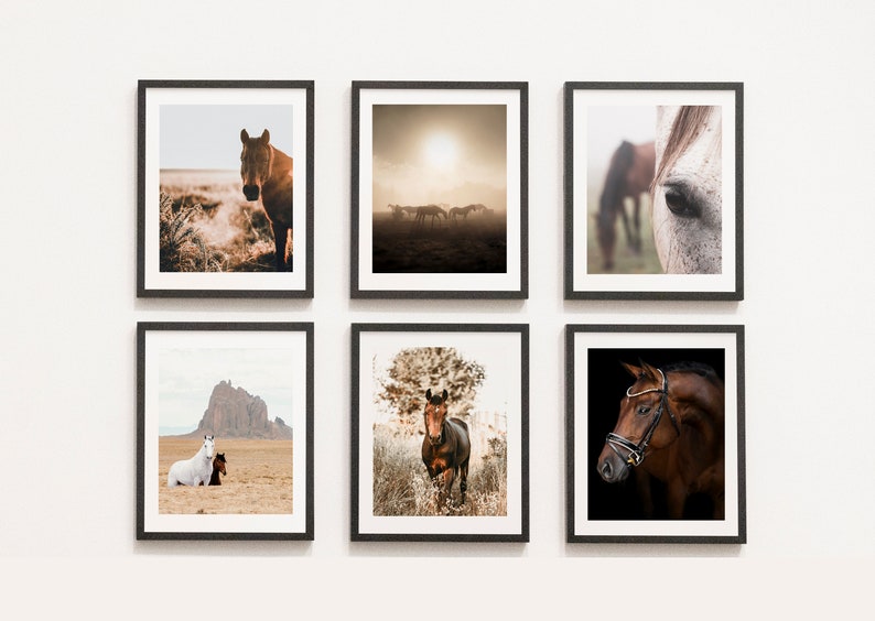 May include: A gallery wall of six framed photographs featuring horses in various settings. The photos include a close-up of a horse's eye, a horse standing in a field, a group of horses in a misty field, and two horses in a desert landscape.