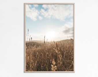 Summer Meadow, Wildflower field photo, Botanical Print, Farmhouse Prints, Nature Photography, Western Wall Decor, Summer Print, Instant art