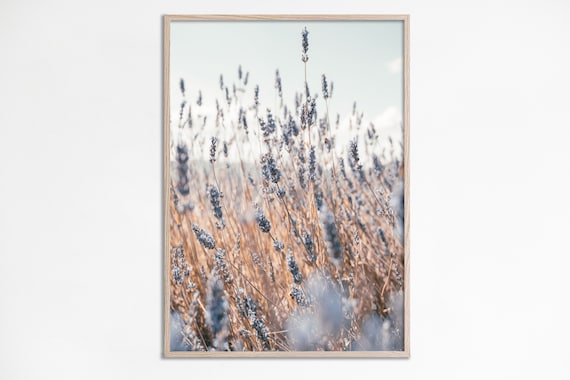 Lavender Print, Botanical Wall Art, Farmhouse decor, Botanical Flower Print, Lavender Poster, Floral Wall Decor Farmhouse Digital Download