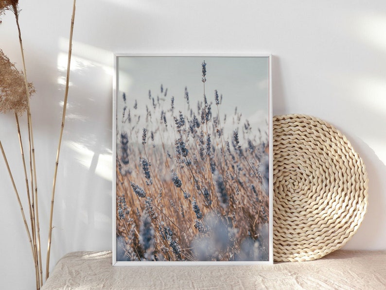 May include: A framed photograph of a field of lavender flowers in a soft, muted color palette. The flowers are in focus, while the background is blurred, creating a dreamy effect.