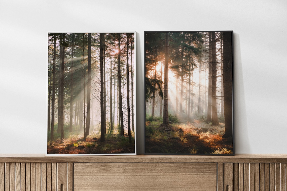 Light Through Trees Print Set of 2 Prints in the Woods Forest - Etsy